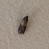 Plodia interpunctella